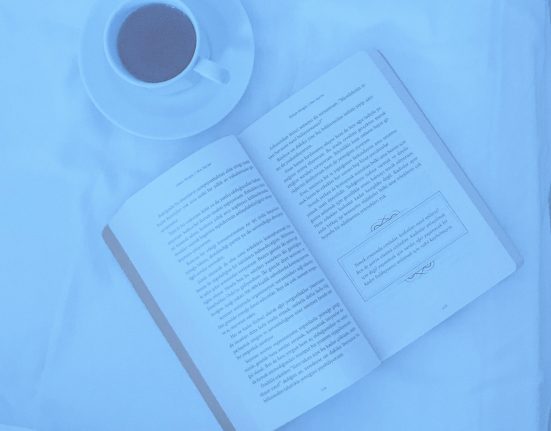 Categoría Ferias del Libro