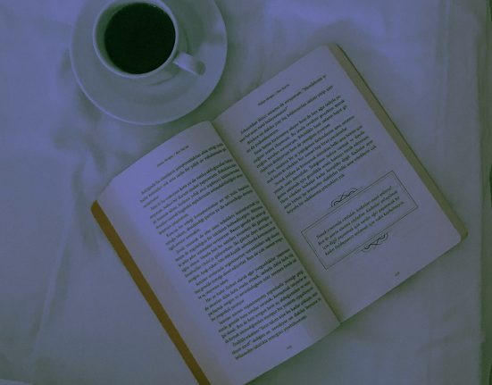 Categoría Televisión