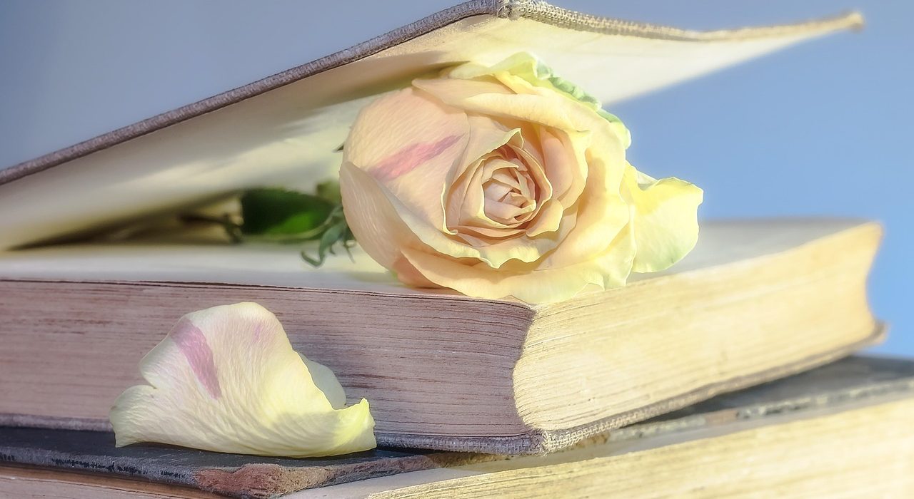 Libro y rosa
