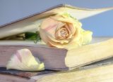 Libro y rosa