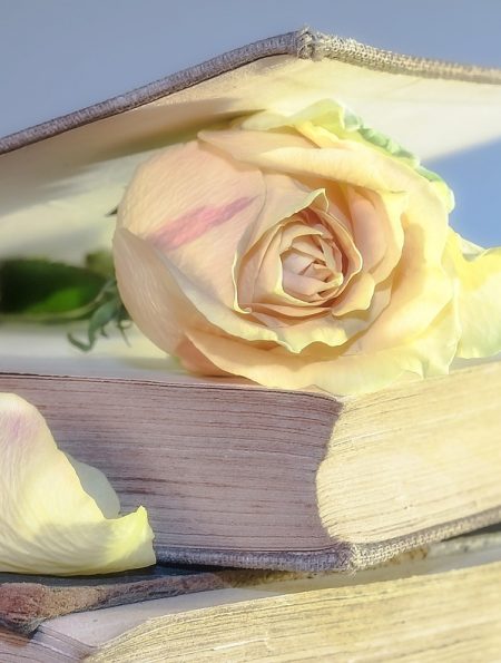 Libro y rosa
