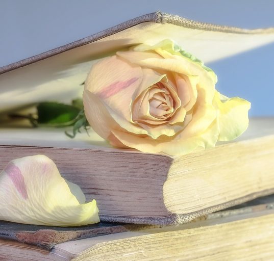 Libro y rosa