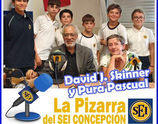 La pizarra del SEI - Pura y David